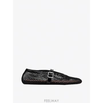 Alaia �δ��� ALAIA �˶��̾� ���Ϸ� �޽� �÷��δ��� ALAIA �˶��̾� ���Ϸ� �޽� �÷�