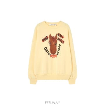 | Other Brand | Ű�� ų�ǽ� KILLFISH Ȧ�� ������ F26118 323EPŰ�� ų�ǽ� KILLFISH Ȧ�� ������ F26118 323EP