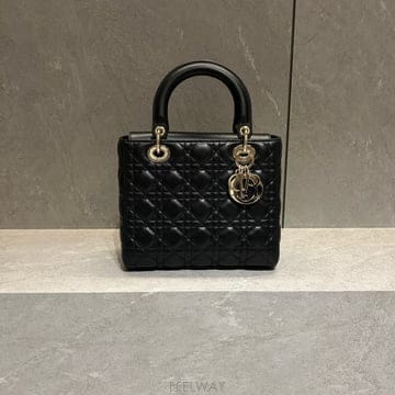 디올 레이디백 미디움
