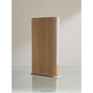 뱅앤올룹슨 BEOSOUND EMERGE 스피커 1273701 B0080829592
