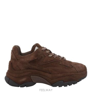 Ash 26FW �ƽ� ���Ʈ ����Ŀ�� ADDICT BIS01 BROWN26FW �ƽ� ���Ʈ ����Ŀ�� ADDICT BIS01 BROWN