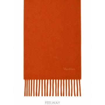 Max Mara 26FW �������� ���÷� ��ī�� 2624546231MXAFRAGORE 007 ARANCIO26FW �������� ���÷� ��ī�� 2624546231MXAFRAGORE 007 A