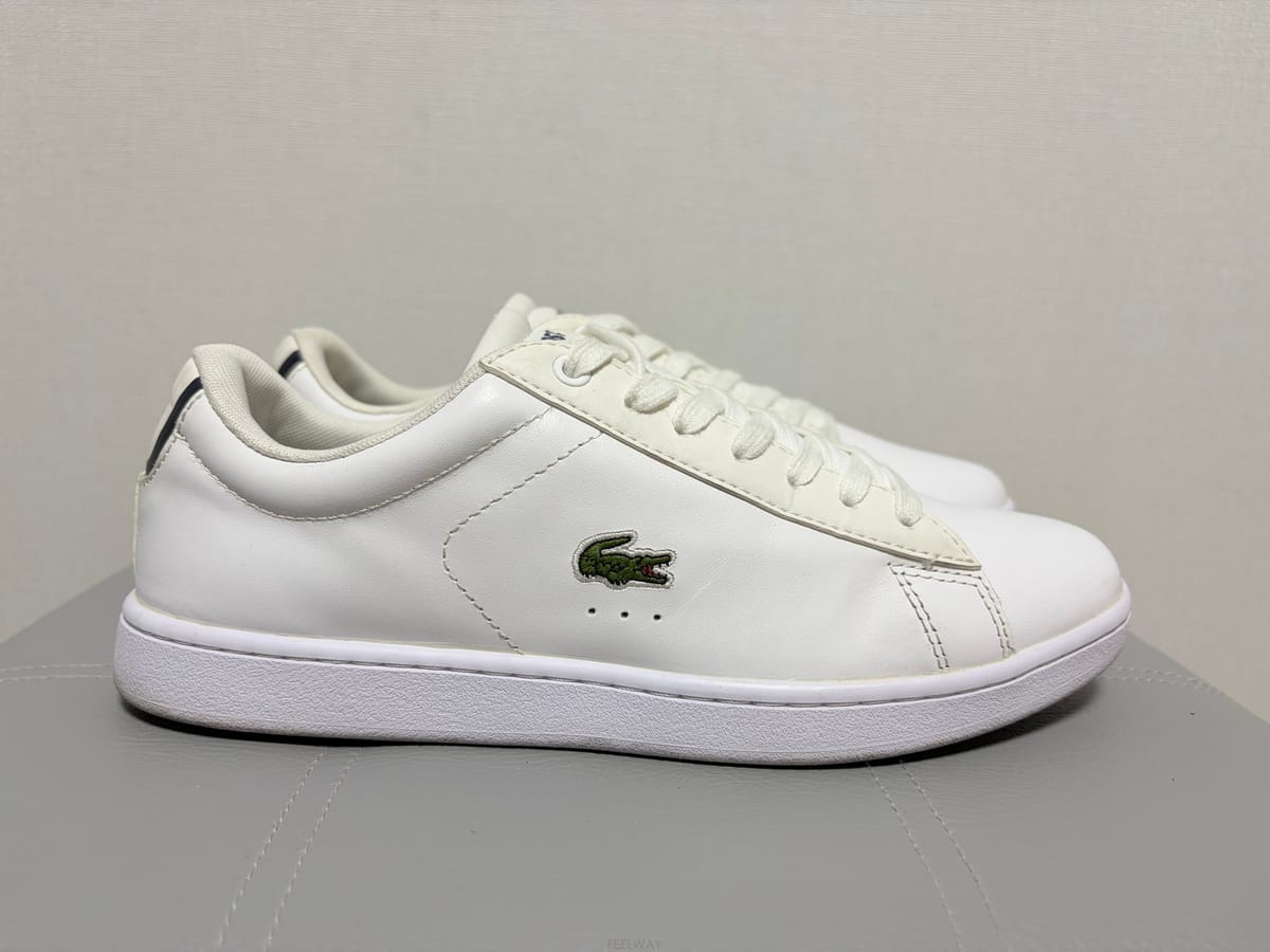 LACOSTE ���ڽ��� ���� ����Ŀ�� 240���ڽ��� ���� ����Ŀ�� 240
