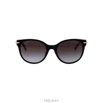 26SS 티파니앤코 선글라스 0TF4223D 80013C black
