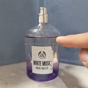 더 바디샵 화이트머스크 EDT 100ml 향수 (4)