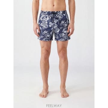 | Other Brand | Commas ���� �������� C005 TP647178094Commas ���� �������� C005 TP647178094