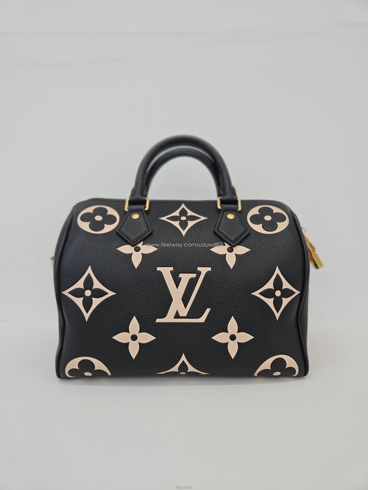 Louis Vuitton [�߰���ǰ ������ �����] ���̺��� �������� �ݵѸ��� ���ǵ� 25 ����Ĩ M58947[�߰���ǰ ������ �����] ���̺��� �������� �ݵѸ��� ��