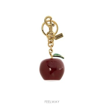 Coach �δ��� COACH ��ġ ��� ���� Ű���δ��� COACH ��ġ ��� ���� Ű��