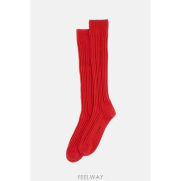 26 F/W ANT45 양말 TINOR41 B0032331557