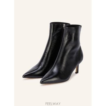 Steve Madden ��Ƽ��ŵ� LULAH ��Ŭ ���� 100314857413001 TP581726706��Ƽ��ŵ� LULAH ��Ŭ ���� 100314857413001 TP581726706