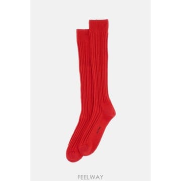 [G95]Ant45 TINOR41 남성 양말 삭스 캐주얼양말 SOCKS