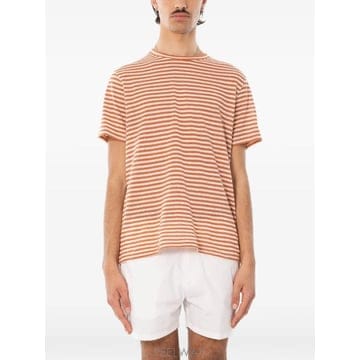 | Other Brand | 26 FW MC2 Saint Barth ���� ��Ʈ������ �ݼҸ� Ƽ���� DOV0010 TP45887435926 FW MC2 Saint Barth ���� ��Ʈ������ �ݼҸ� Ƽ���� DO