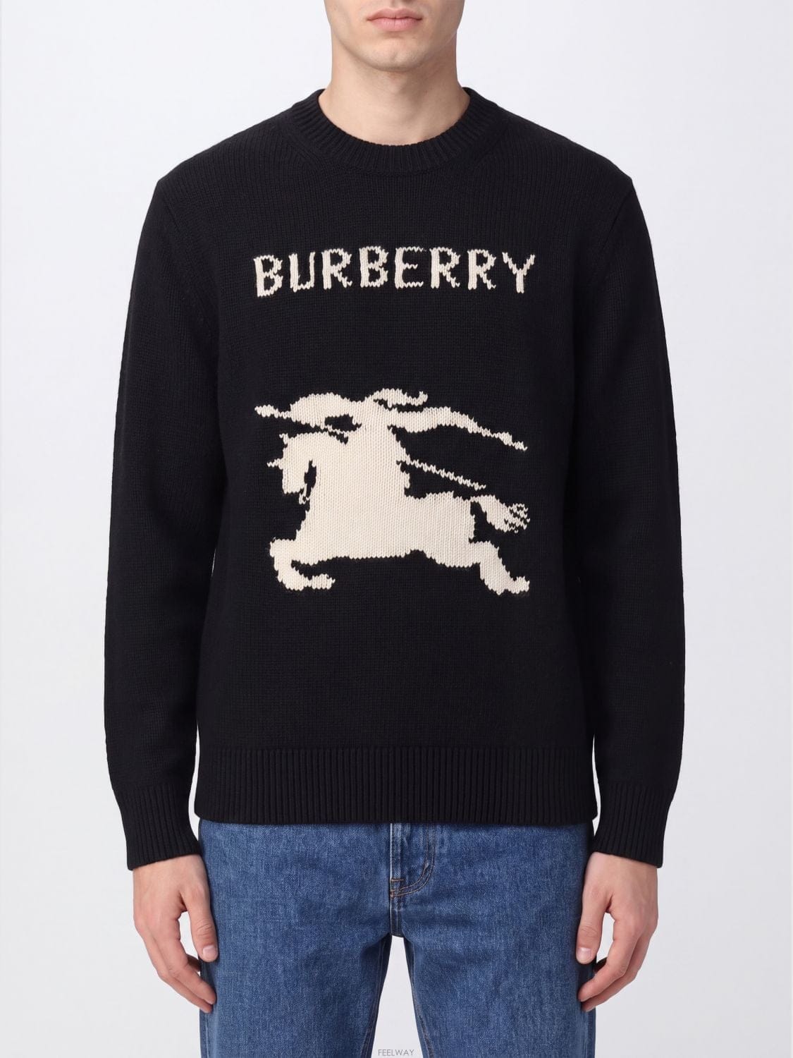 Burberry [A6] ������ 8101952 ���� ����� 8101952-002[A6] ������ 8101952 ���� ����� 8101952-002