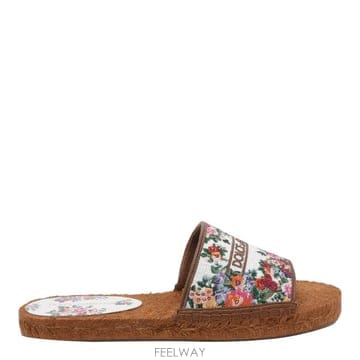 Dolce&Gabbana SS26[��ü�ذ��ٳ�] ���� CE0148 A64838V135 [B0]SS26[��ü�ذ��ٳ�] ���� CE0148 A64838V135 [B0]
