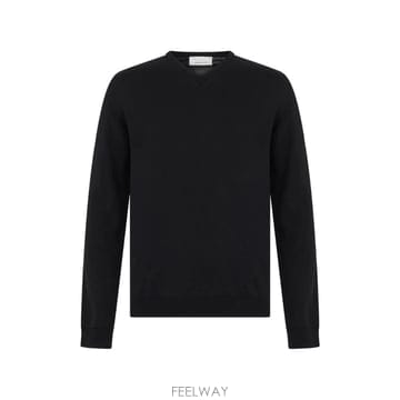 26 FW Roberto Collina V넥 스웨터 263MYB01002 TP458858081