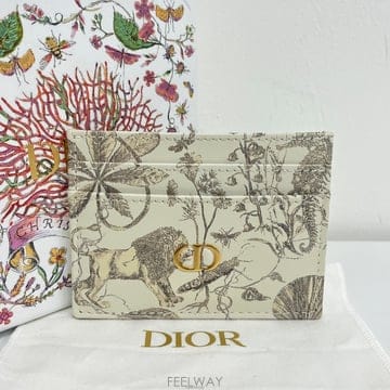 DIOR ��� ī�� �������� ī��������� ī�� �������� ī������