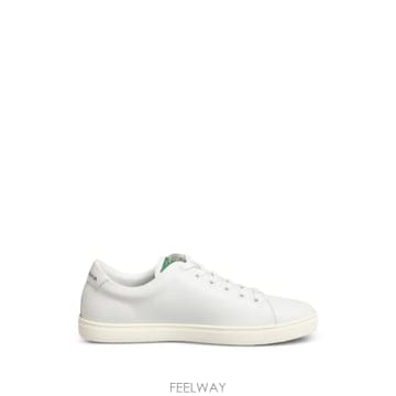 26 FW 돌체앤가바나 로즈 자수 레더 스니커즈 CS1772A1065 TP455640395