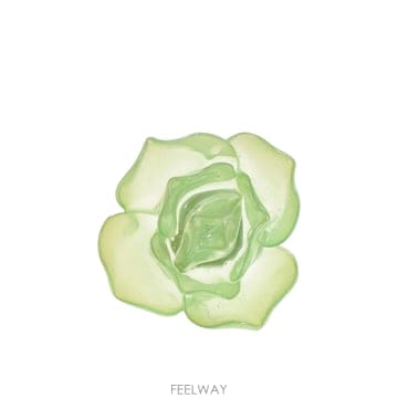 디스퀘어드2   여성 오버사이즈 로즈 링 RIW0086 13420001 M2557 Green BPG