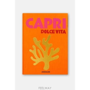 | Other Brand | CARRY OVER �ּ��� ī���� ��ü VITA 97816142878 B0032363535CARRY OVER �ּ��� ī���� ��ü VITA 97816142878 B003236