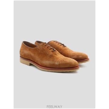 Kiton �δ��� Kiton Ű�� ���� ���̽��� �����δ��� Kiton Ű�� ���� ���̽��� ����