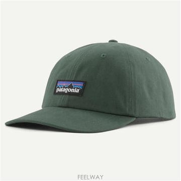 26FW 파타고니아 P6 라벨 트래드캡 38296 CNGR