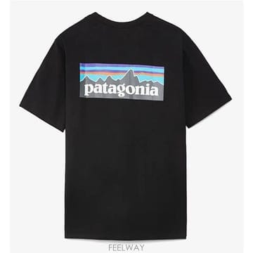 26FW 파타고니아 P6 로고 38504 BLK