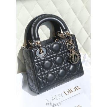 DIOR ��� ���̵�� �̴� ����Ų 2025���ŵ�� ���̵�� �̴� ����Ų 2025����