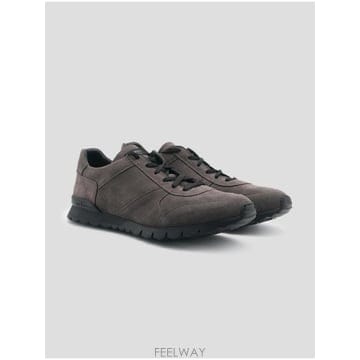 Kiton �δ��� Kiton Ű�� �׷��� ����Ŀ���δ��� Kiton Ű�� �׷��� ����Ŀ��
