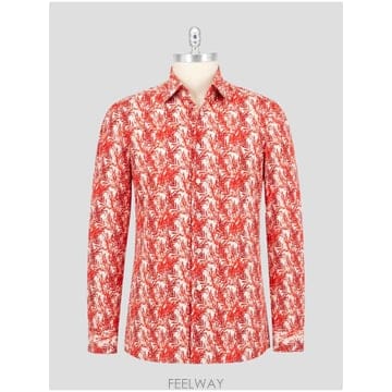 Kiton �δ��� Kiton Ű�� ���� �����δ��� Kiton Ű�� ���� ����