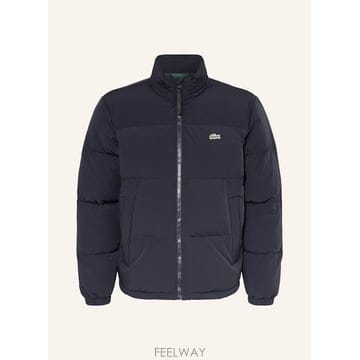 LACOSTE ���ڽ��� �ٿ� ���� 100285475917000 TP582099063���ڽ��� �ٿ� ���� 100285475917000 TP582099063