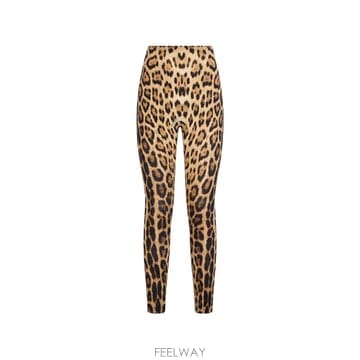Roberto Cavalli 26 FW �κ����� ī�߸� �����ĵ� ����Ʈ ���뽺 WQT23ALNQ71 TP45628818626 FW �κ����� ī�߸� �����ĵ� ����Ʈ ���뽺 WQT23ALNQ