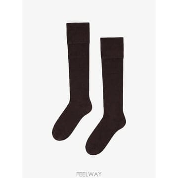 | Other Brand | 26 FW Wolford ���� ��Ʈ �ϻ轺 318084894 TP45910964126 FW Wolford ���� ��Ʈ �ϻ轺 318084894 TP459109641