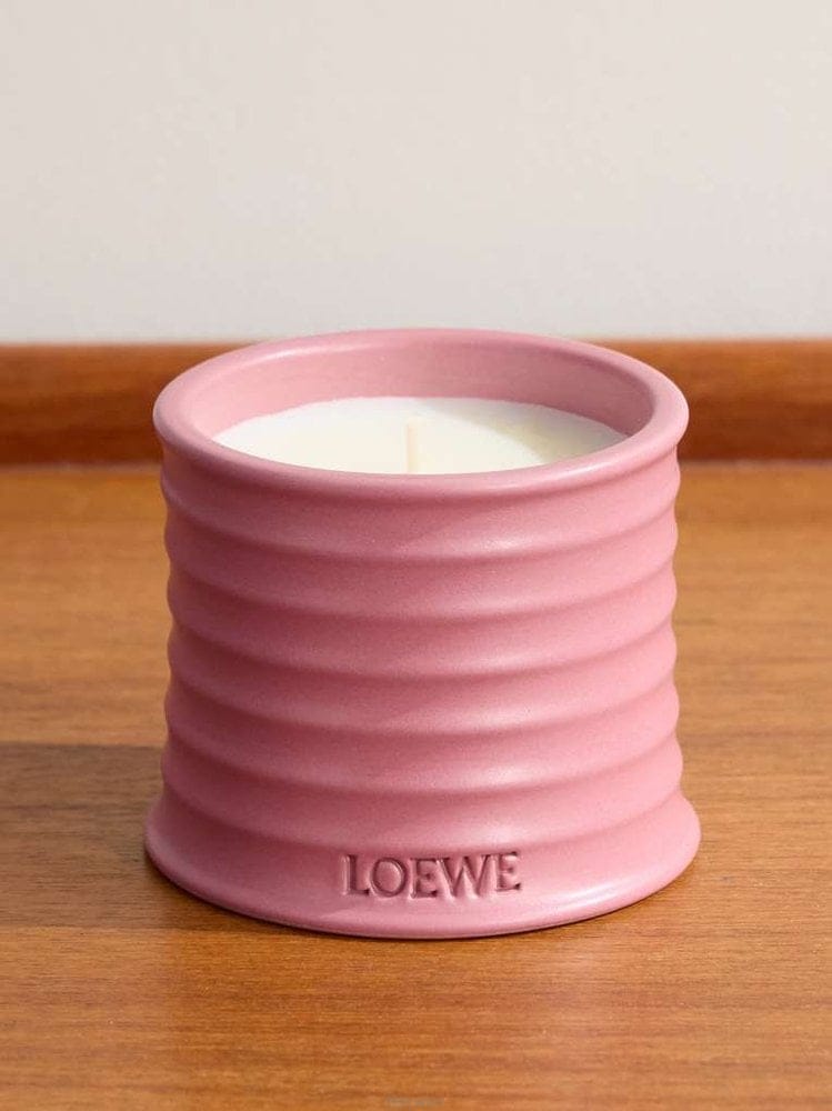 Loewe �ο��� ���̺� ���� ��Ƽ�� ĵ�� 170G LW67706 B0082489863�ο��� ���̺� ���� ��Ƽ�� ĵ�� 170G LW67706 B008248986