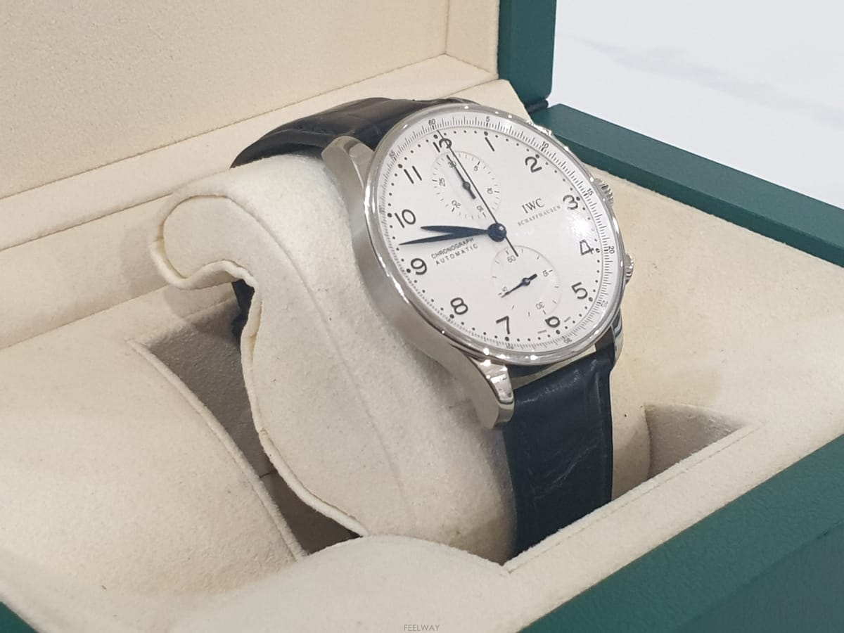 IWC IWC ���������� �������� IW371446IWC ���������� �������� IW371446