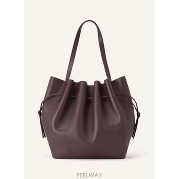 | Other Brand | ������ SCALLOP ���� �� 100321450318000 TP581900570������ SCALLOP ���� �� 100321450318000 TP581900570