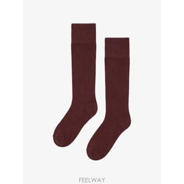 | Other Brand | 26 FW Wolford ���� �ϻ轺 318083272 TP45964280326 FW Wolford ���� �ϻ轺 318083272 TP459642803