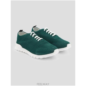 Kiton �δ��� Kiton Ű�� �׸� ����Ŀ���δ��� Kiton Ű�� �׸� ����Ŀ��