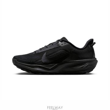 나이키 ACG 페가수스 트레일 블랙 앤트러사이트 러닝화 런닝화 HV8116-002