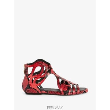 26 FW PUCCI 글래디에이터 로우 샌들 6HCC126HX20 TP455902930