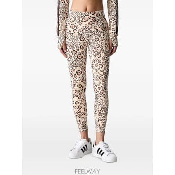 26 FW 아디다스 X 팜 리오 레오파드 프린트 레깅스 KR0231 TP456288227