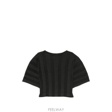 26 FW Issey Miyake 플리츠 반소매 탑 IM66FJ658 TP456098908