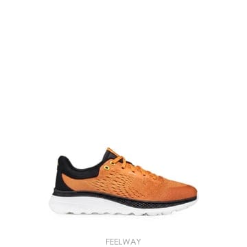 | Other Brand | 26 FW Geox ���丮ī ��Ƽ�� X1 ���̽��� ����Ŀ�� U65HUB0006KC0569 TP4566885226 FW Geox ���丮ī ��Ƽ�� X1 ���̽��� ����Ŀ�� U65HUB