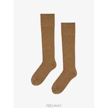 | Other Brand | 26 FW Wolford ���� ��Ʈ �ϻ轺 318084895 TP45964280126 FW Wolford ���� ��Ʈ �ϻ轺 318084895 TP459642801