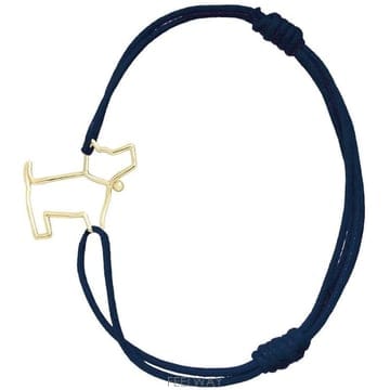 | Other Brand | �˸�Ÿ ������ �� ��� �� ���� CBPU800000YG09K PERRITO TP979867215�˸�Ÿ ������ �� ��� �� ���� CBPU800000YG09K PERRITO 