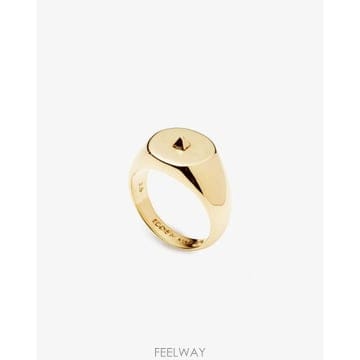 | Other Brand | ���� ������ �Ƕ�̵� ���� ���� RG234202  TP979595433���� ������ �Ƕ�̵� ���� ���� RG234202  TP979595433