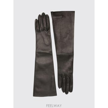 | Other Brand | CORTANA ���� �尩 AJINGLOVES01 TP647495082CORTANA ���� �尩 AJINGLOVES01 TP647495082