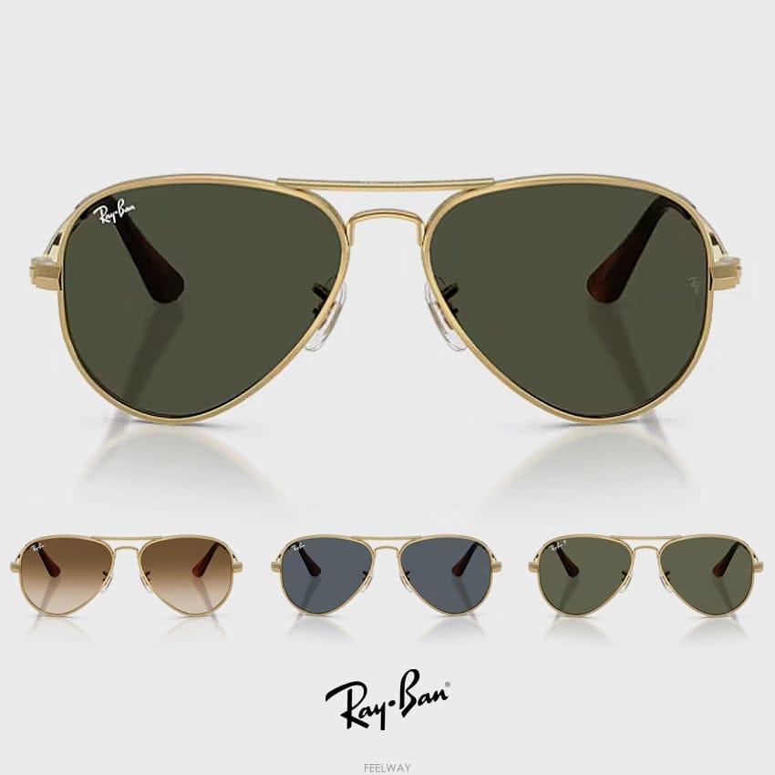 Ray Ban RAY BAN ���̺� ���۶� �������� �ƽ� RB3925RAY BAN ���̺� ���۶� �������� �ƽ� RB3925