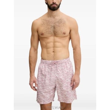 | Other Brand | 26 FW Paul �� Shark ��ũ ����Ʈ ��ν�Ʈ�� ������ ���� 26415037 TP45702304226 FW Paul �� Shark ��ũ ����Ʈ ��ν�Ʈ�� ������ ����