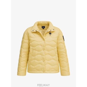 | Other Brand | 26 FW Blauer ��ƾ ���� �е� ��Ŷ BLDC03167 TP46009839026 FW Blauer ��ƾ ���� �е� ��Ŷ BLDC03167 TP4600983