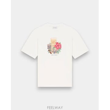 26SS 드롤드무슈 반팔 티셔츠 K TS300 CO002OW Beige